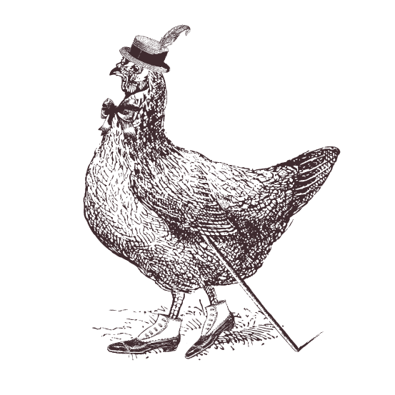 Foggydew Chicken Illustration